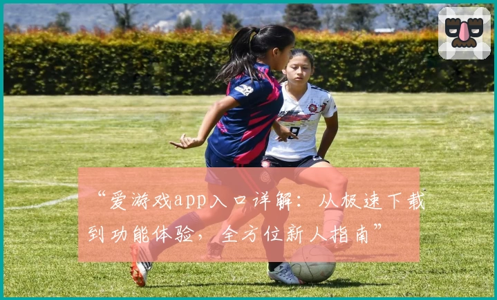 “爱游戏app入口详解:从极速下载到功能体验,全方位新人指南”