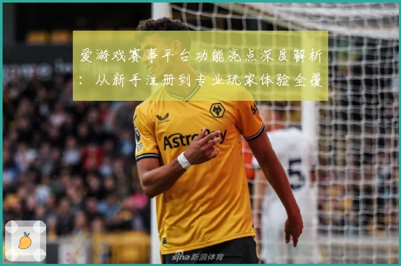 爱游戏赛事平台功能亮点深度解析：从新手注册到专业玩家体验全覆盖
