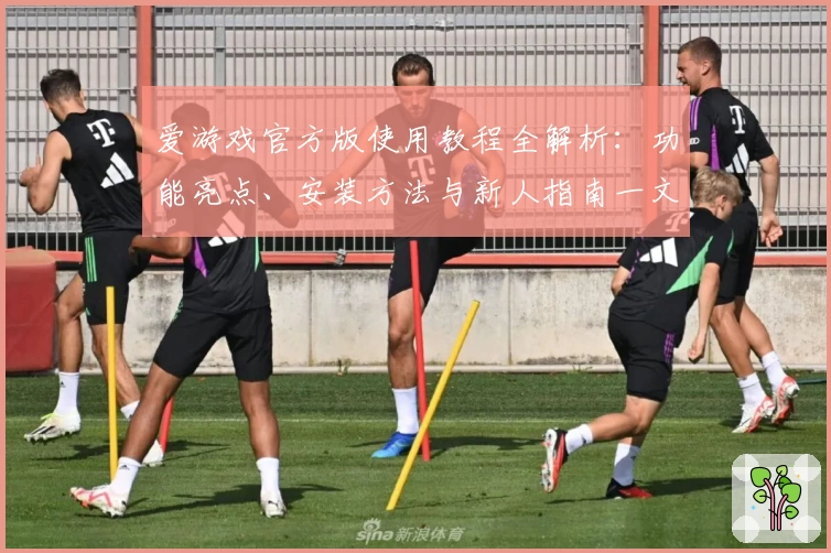 爱游戏官方版使用教程全解析：功能亮点、安装方法与新人指南一文打尽